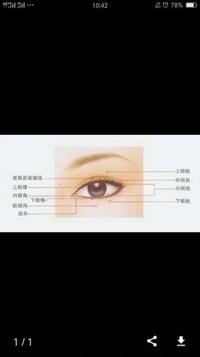 每次化妆的时候画眼影 画到上眼睑偏眼角的位置眼影刷一扫 鼻子就开始