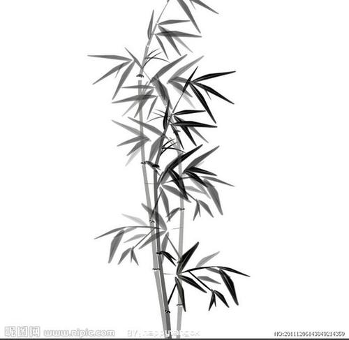 竹子简笔画课件 简笔画图片大全-蒲城教育文学网