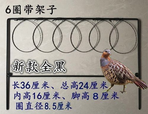 白面水鸡套鹧鸪毛鸡竹鸡门套诱捕器绳套线套地套手工野鸡工具家用五金
