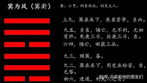 第57卦解读易经学会做出合理的决策巽为风巽卦