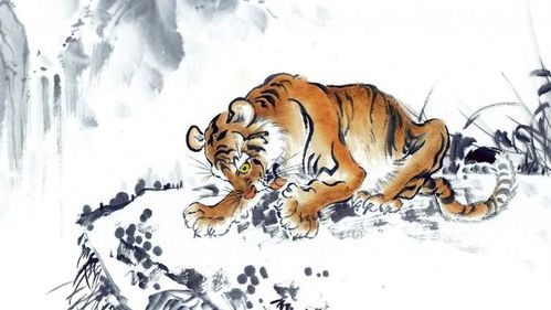 no.3生肖虎:贵人助力,虎虎生威.