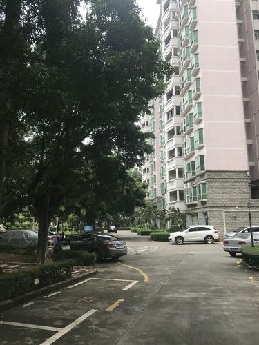 【第二次拍卖】 东莞市凤岗镇雁田丰田新村第d座(丰盛楼)一幢三楼b号