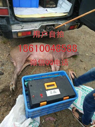 芜湖野猪机设备厂家直销