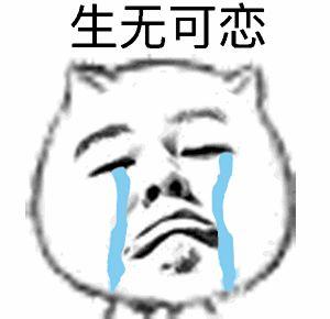 与已经不太健康的胃,在默默地哭泣.