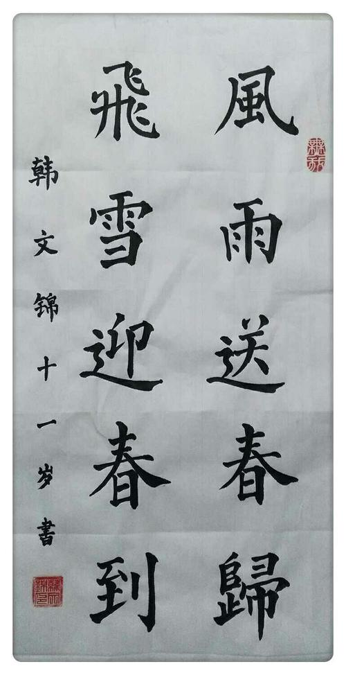 获奖作品"风雨送春归,飞雪迎春到"