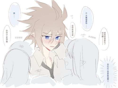 【有布安(旧设)微雷安(现设).