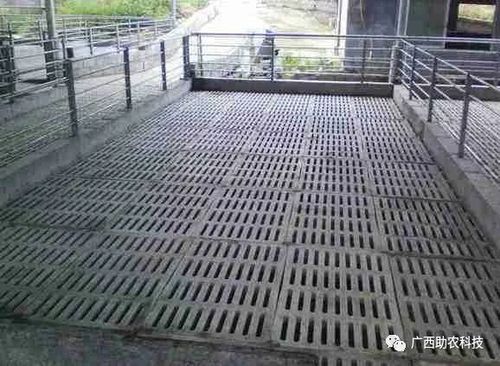 带你参观新建的新型水泡粪养猪模式及养殖现场,包括设计图纸和详细