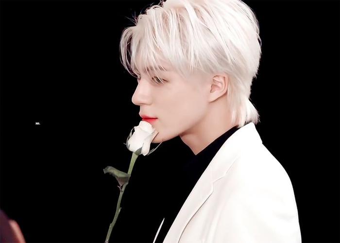 如何评价nct李帝努的颜