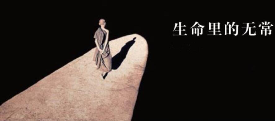 对于生命的思考