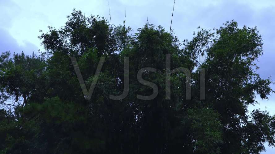 雨景_3840x2160_高清视频素材下载(编号:6462714)_实拍视频_vj师网