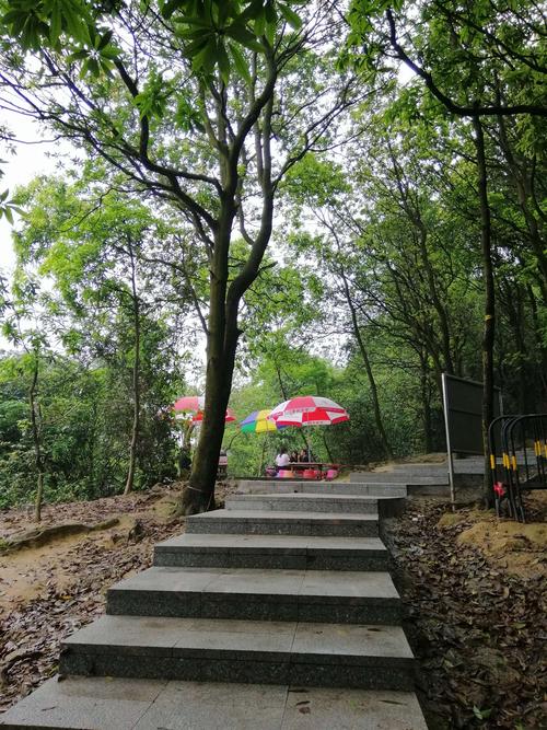 火炉山森林公园之巅峰之极《白架顶》