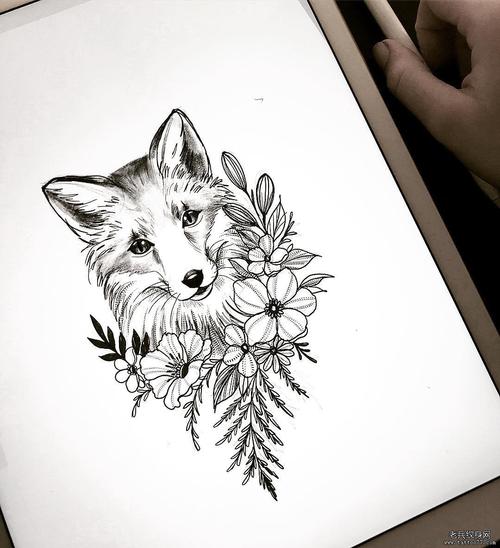 黑灰狐狸纹身手稿