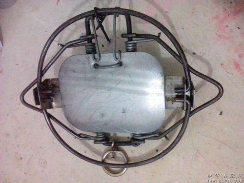 野猪夹老鼠夹野兔夹子厂家批发16厘罗纹钢8斤直径33c