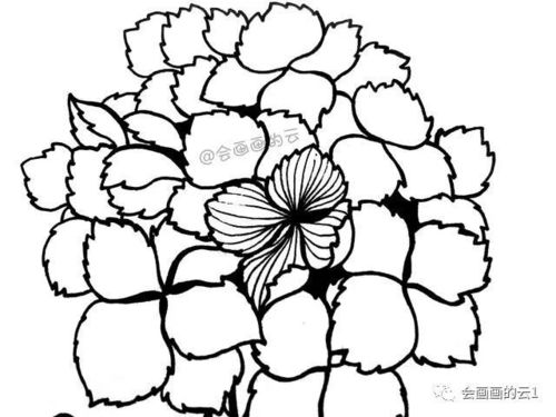 零基础的小白也可以画的简笔画教你用1支笔画一簇花