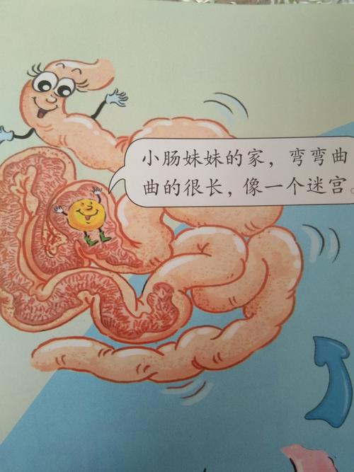 郭家屯镇葫芦寺幼儿园大班健康《小豆子旅行记》