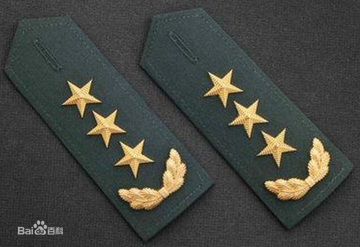 陆军上将为中国人民解放军现行军衔制中陆军最高军衔,也是全军最高