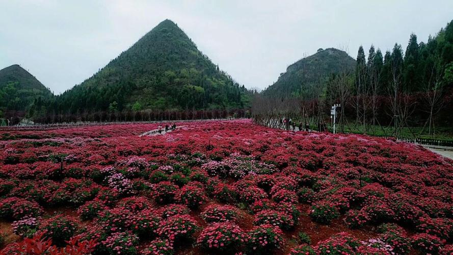 【携程攻略】兴义醇酒厂风景区景点,贵州兴义醇酒厂美