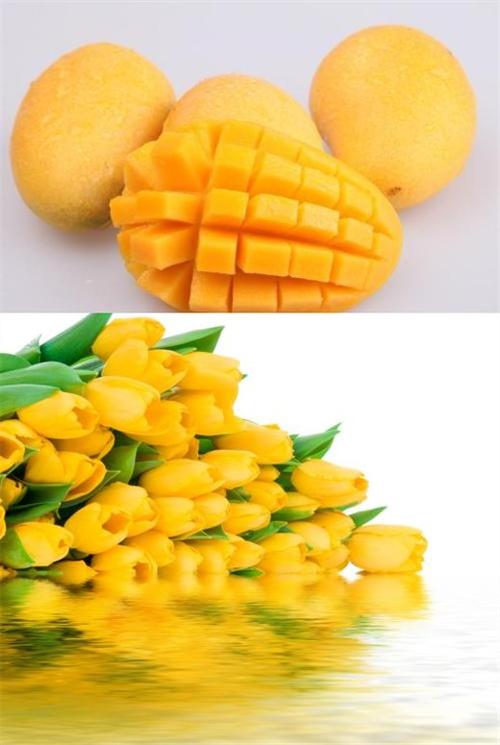 "黄色"可以形容什么东西?