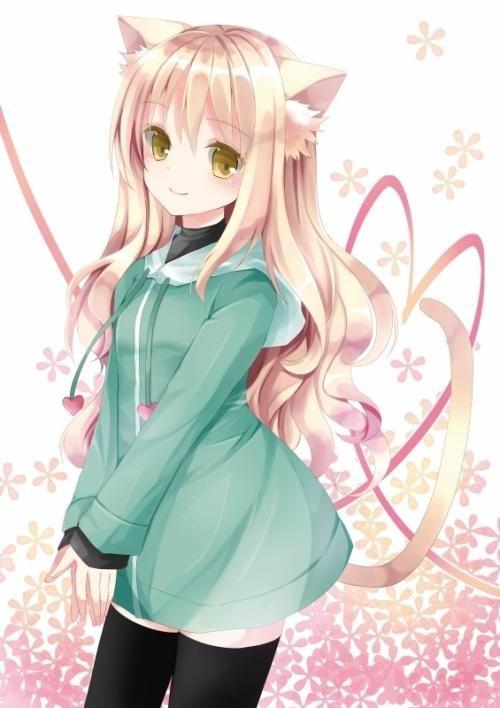 【4】二次元猫耳女生(10张)