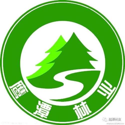 鹰潭市人大常委会副主任,市级林长胡高堂开展巡林督导