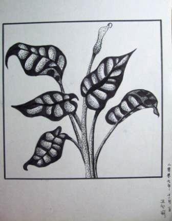 大班------植物变形课(10--15岁)