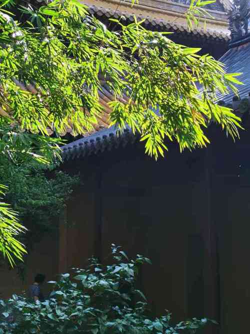 最爱的目的地之一, 四季天气舒适,非常适合旅游～  一方净土,三柱清香