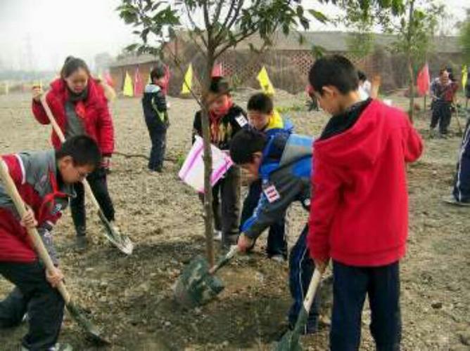 【乐陵市孔镇中心小学植树节队活动】我为校园涂抹绿