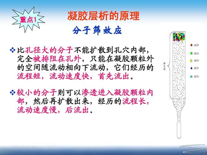 实验五葡聚糖凝胶柱层析分离纯化蛋白质ppt