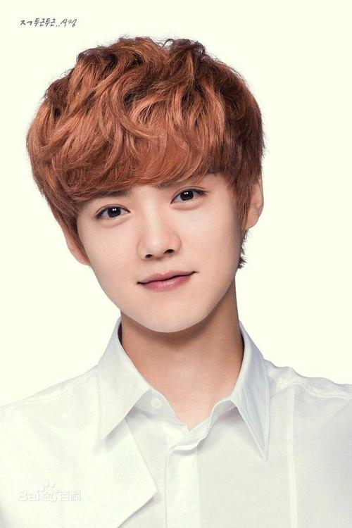 exo鹿晗