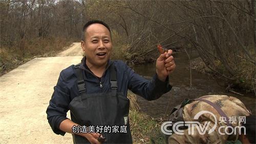 致富经深山老林里的林蛙财富20151125