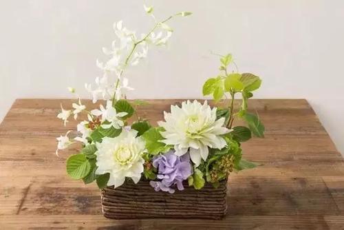 插花步骤与技巧详解手把手教你学插花