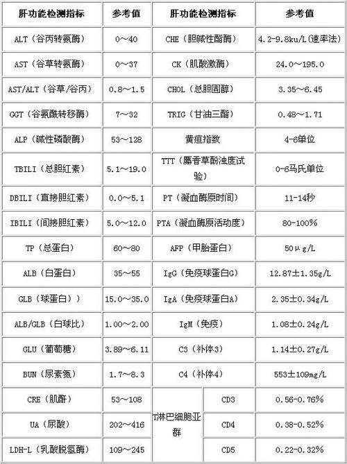 肝功能正常值的四种肝酶