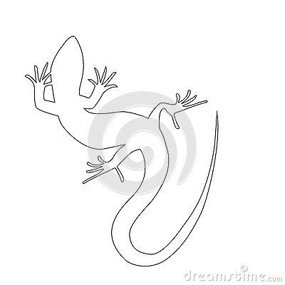 小蜥蜴简笔画步骤