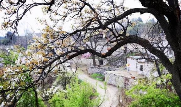原创河南(修武县)必去的六大古村落:景美不输5a,全部免门票