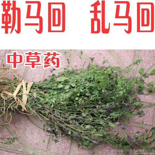 请问种植的过程中,有没有什么虫子会吃番茄的?