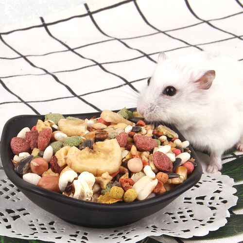 比利时仓鼠粮食套餐齐全营养补钙食物主粮饲料饲料