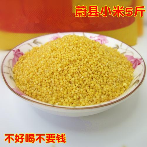 河北蔚县桃花农家黄小米小黄米新米蔚州贡米月子米张家口特产5斤