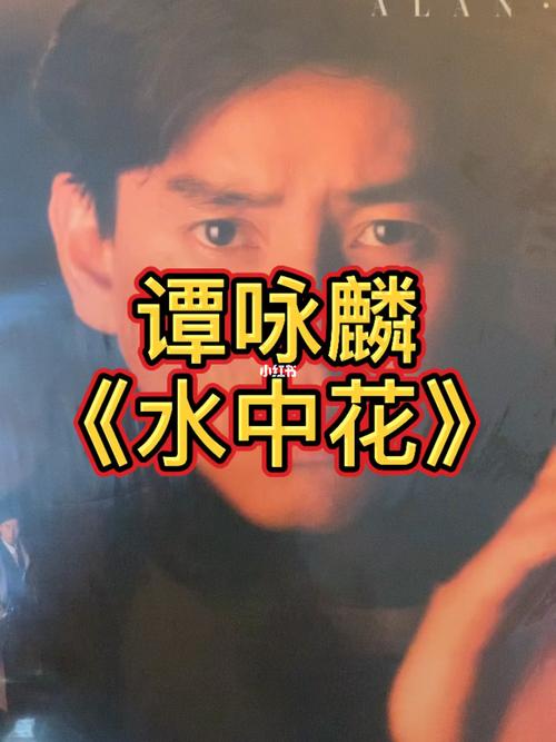 谭咏麟《水中花》_音乐_水中花怎么样_黑胶唱片_粤语歌_老歌_推荐音乐