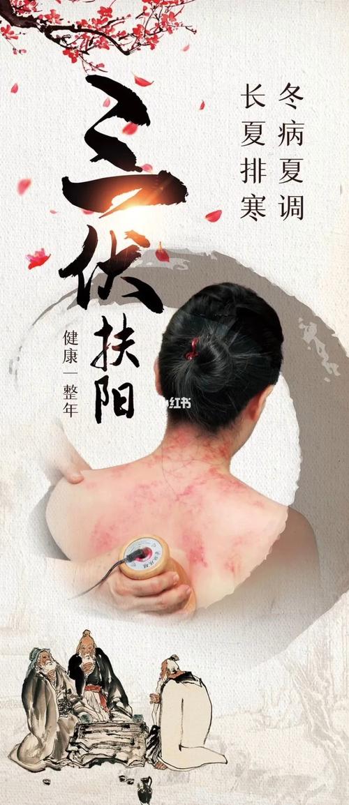 扶阳罐养生分享_养生_玫瑰园_中医养生_医疗健康_医疗