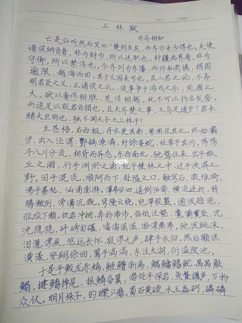 上林赋抄写