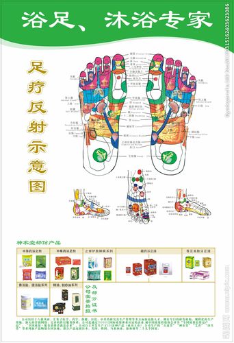 足疗反射海报 浴足示意图图片