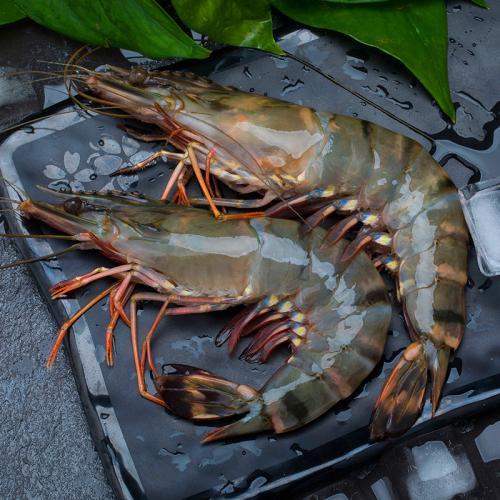 马达加斯加原装进口黑虎虾20/25盒装2kg(40-50只)