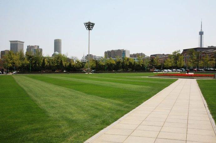 春日再游斯大林广场……(110504)_大连老吉普_新浪博客