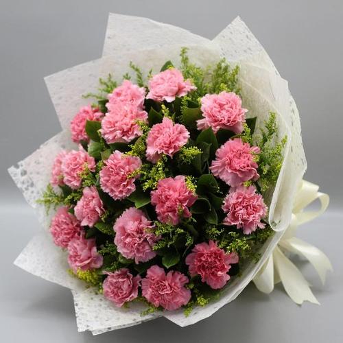 母亲节,送一束康乃馨给妈妈