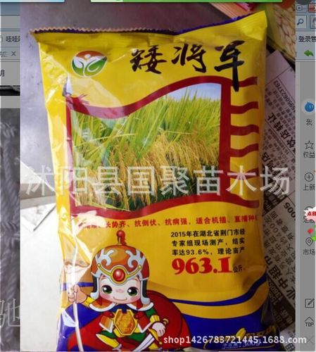 批发郑旱6号高产旱稻种子 稻谷种子水稻种子高产高抗病稳产1400斤