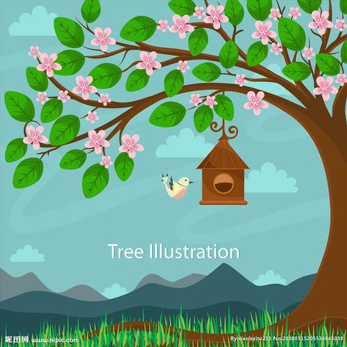大树插画图片