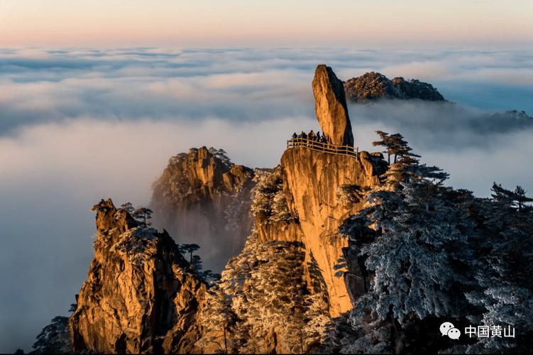 【《黄山》传真】课本上的黄山奇石"狮子抢球"