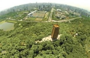 照母山森林公园,主城的"肺叶".