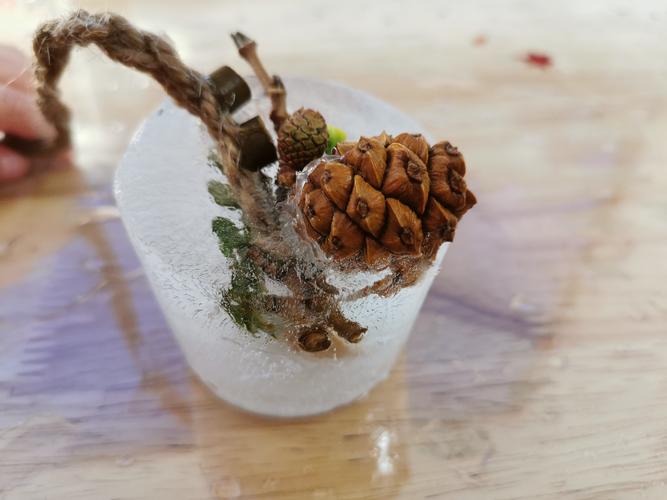 培养孩子的动手能力,我们开展了一次"创意冻冰花"活动,让孩子们感受