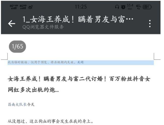 项思醒65页ppt最全免费